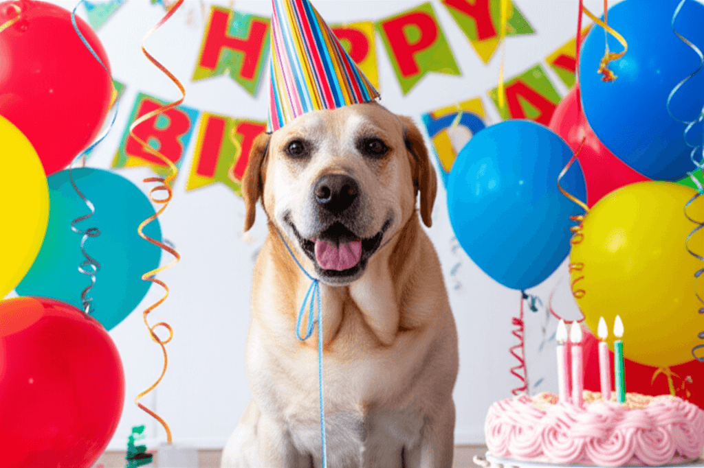 Birthday Party