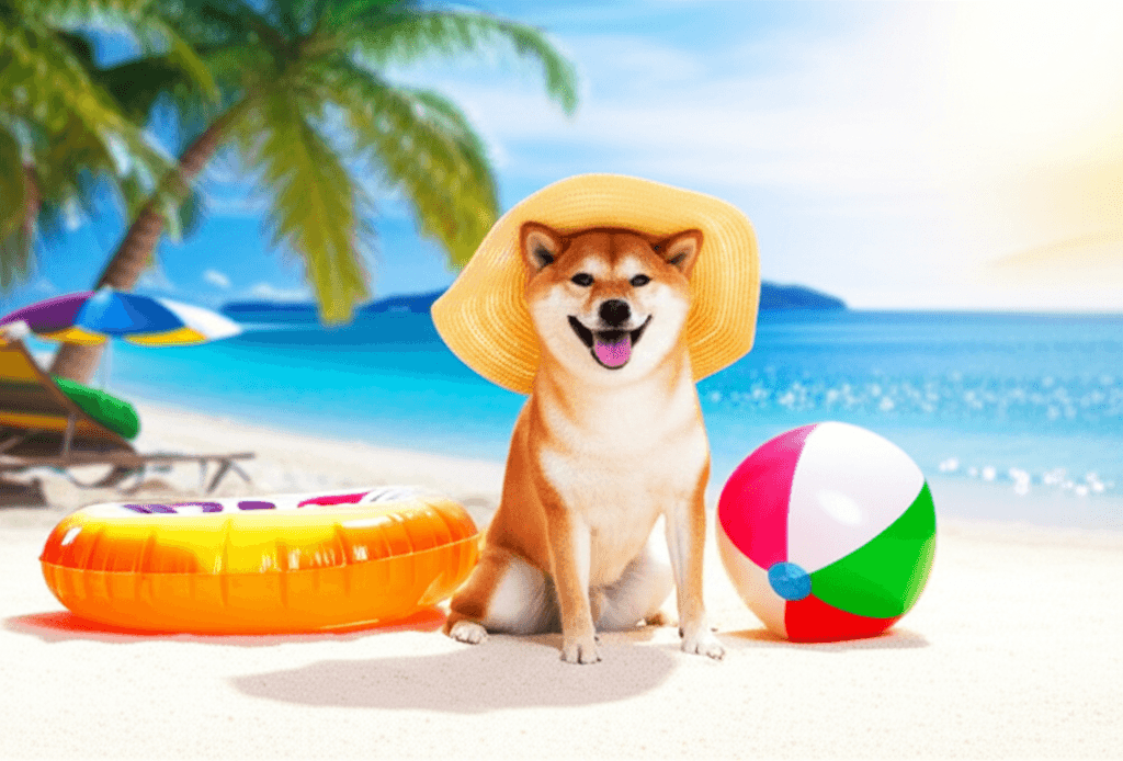 Beach & Swimming